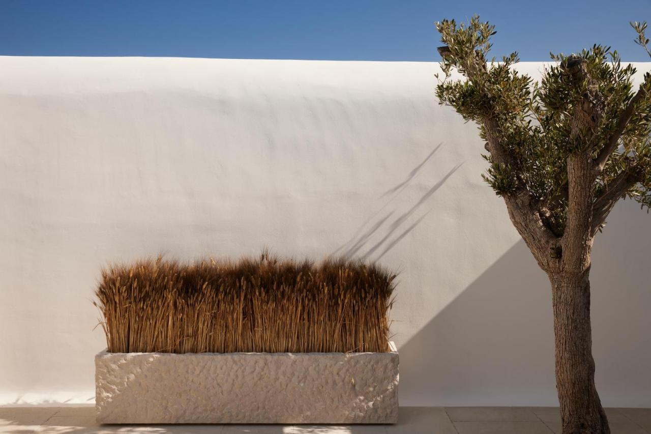Hotel Kalesma Mykonos Ornos  Esterno foto